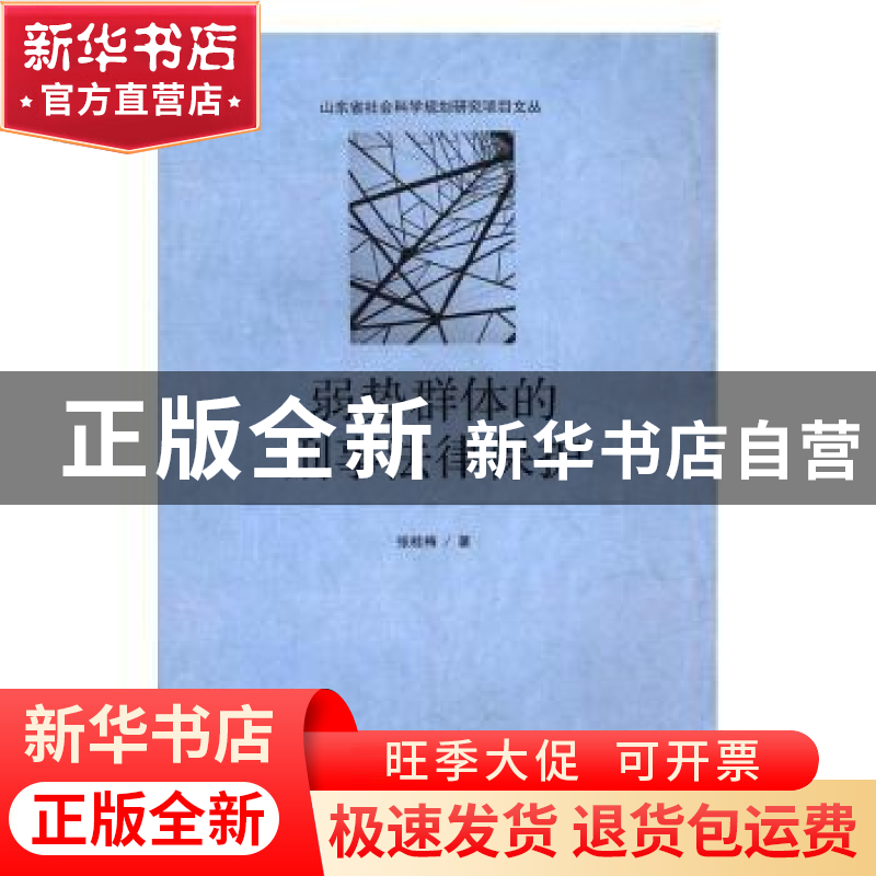 正版 弱势群体的刑事法律保护 张桂梅著 山东人民出版社 97872091