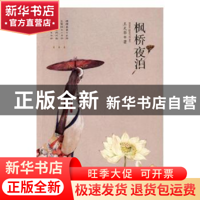 正版 枫桥夜泊 王天华著 现代出版社 9787514354201 书籍