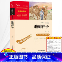 [正版]骆驼祥子原著 老舍七年级下册初中生必读课外书阅读初一七下世界名著文学小说书籍海底两万里初中版人教版人民教育出版