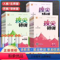 拔尖特训[语文+数学RJ+英语PEP]3本 三年级下 [正版]新版通城学典拔尖特训小学一二三四五六年级上下册语文人教版数