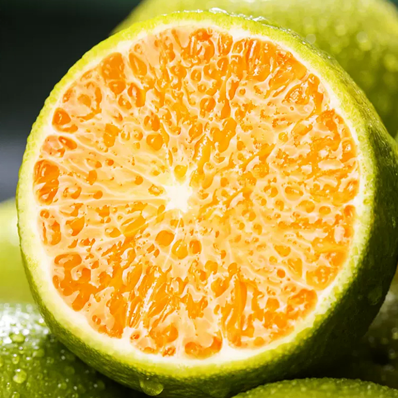 [熊猫鸟]正宗云南青皮冰糖橙 净重5斤 小果 单果60mm左右 哀牢山新鲜应季水果