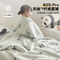 A类60支天丝儿童夏凉被卡通凉感空调被薄被宝宝幼儿园午睡夏被子3