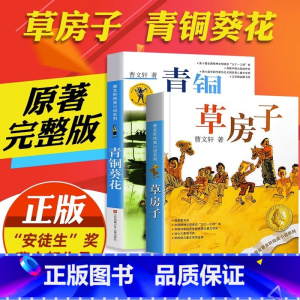 [2册套装更优惠]青铜葵花+草房子 [正版]红瓦黑瓦 曹文轩纯美小说系列 8-9-10-12-15岁四五六年级青少年小学