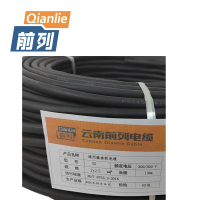 前列 通用橡套软电缆 YZ 2x2.5mm² 100米/卷