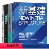 [正版]湛庐内循环战略系列4册 经观十二问+智造中国+科创大时代+新基建 经济理论套装