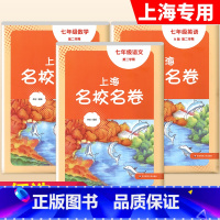 7年级下[套装3本]语数英 大字版 初中通用 [正版]2024春季上海名校名卷六年级七八九上册下册数学语文英语物理化学沪