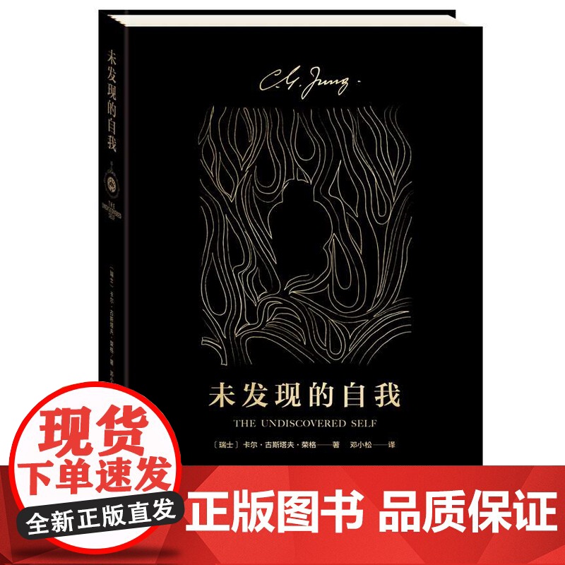 未发现的自我 心理学大师荣格 通俗易懂 了解人类潜意识的