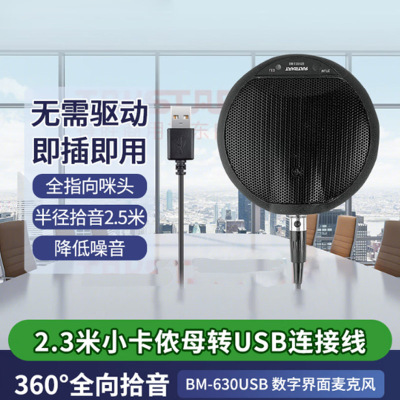 得胜(TAKSTAR)全指向数字界面麦克风 BM-630USB