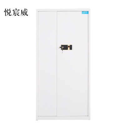 悦宸威钢制密码文件柜保险柜铁皮资料柜通门白色指纹锁420*900*1850
