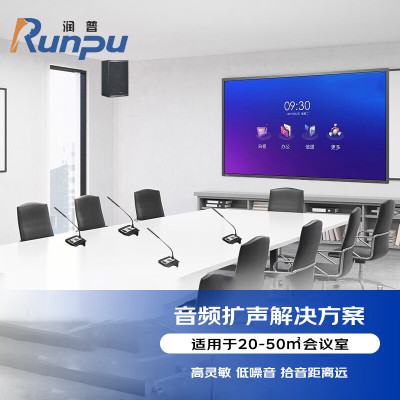 润普音频扩声会议成集解决方案(会议麦克风+音响+调音台+音频处理器+数字移频器+时序电源)RP-YPKS280