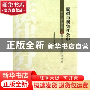 正版 虚拟与现实社会中有形与无形财产间最新民商问题法律分析 王
