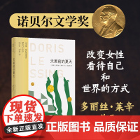 莱辛作品:天黑前的夏天 诺贝尔文学奖得主 伍尔夫之后又一世界级女作家英国现代长篇小说作品正版书籍豆瓣高分译林出版社正版