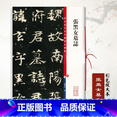 [正版]0减40张黑女墓志彩色放大本中国碑帖孙宝文毛笔书法学生成人练字字帖篆刻孙宝文编基础实战临摹练习技能教程上海辞书