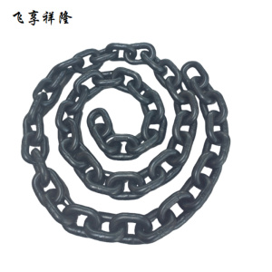 飞享祥隆 链条(12mm)米