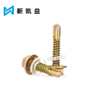 新凯益 自攻螺丝燕尾螺丝 5.5*40mm 个