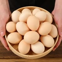 [西沛生鲜]新鲜谷物蛋 40枚装 农家散养新鲜正宗草鸡蛋笨柴鸡蛋孕妇月子蛋整箱