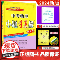 2024新版 恩波教育 中考物理小题狂做提优版 全国通用版 九年级下强化训练初三物理 总复习提优专题突破重点攻克含答案全