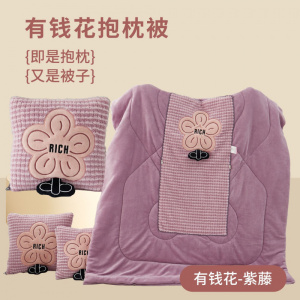 纯牛奶绒枕被靠垫被有钱花刺绣二合一抱枕车载抱枕办公室午睡两用