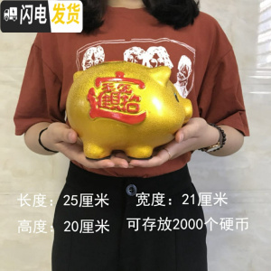 三维工匠小金猪存钱罐儿童储蓄罐大容量陶瓷储钱罐不可取大人家用只进不出 单只25CM送猪垫(可取钱款)