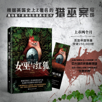 音像女巫与红狐史黛西·赫思
