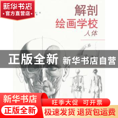 正版 解剖绘画学校:人体 [匈]乔治·费舍尔[GyorgyFeher]著 山东美