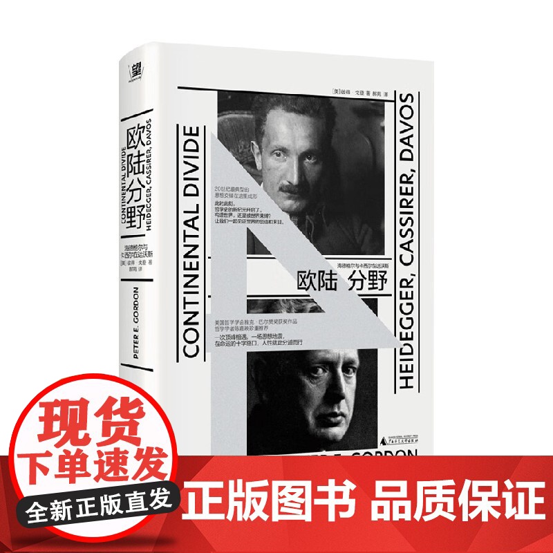 欧陆分野 海德格尔与卡西尔在达沃斯 彼得·⼽登 著 哲学