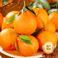 [西沛生鲜]四川新鲜不知火柑橘 净重3斤 特大果 单果80mm+ 产地精选 甜美多汁 坏果包赔