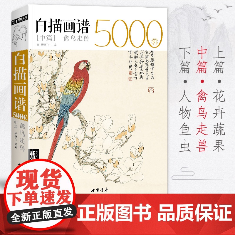 白描画谱5000例中篇·禽鸟走兽勾线描荷花卉临摹图谱书籍手绘自学