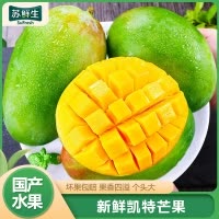 [苏鲜生]精选攀枝花凯特芒 净重5斤 大果 单果400g左右 当季新鲜 热带水果