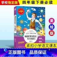 细菌世界历险记——灰尘的旅行 [正版]绿野仙踪三四年级课外书必读老师的快乐读书吧木偶奇遇记二年级上册下册课外阅读书籍秘密