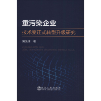 音像重污染企业技术变迁式转型升级研究黄光球