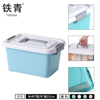 铁青收纳整理箱 Z2 个