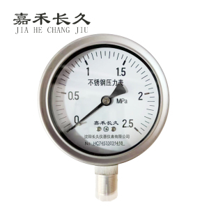 嘉禾长久 不锈钢耐温压力表检测型 Y100BF 块