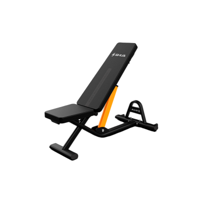 舒华哑铃凳 多功能仰卧板 运动健身器材腹肌神器 仰卧起坐板G599