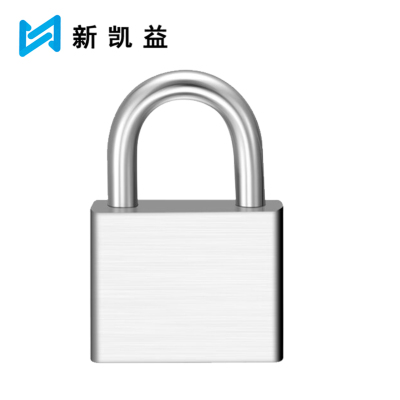 新凯益 叶片钢制挂锁短梁 30mm 把