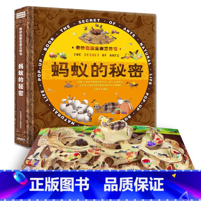 蚂蚁的秘密 [正版]蚂蚁的秘密 奇妙自然生命立体书 儿童3d立体翻翻书书 宝宝早教启蒙绘本翻翻书 幼儿撕不烂神奇生命益智