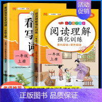 [2册]阅读理解+看拼音写词语 四年级上 [正版]阅读理解专项训练书一年级二年级人教版三四五六年级课外阅读理解强化训练题