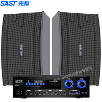 先科A10ktv音响套装家用k歌电视客厅会议室卡拉ok影院组合大功率蓝牙KTV功放机卡包音箱设备10英寸