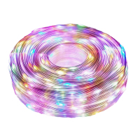 锦瑞星氛围装饰24V皮线灯串插电款P50m/个