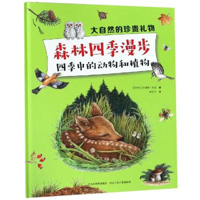 [正版新书]森林四季漫步:四季中的动物和植物 书苏珊娜·莉娅 自然科学 书籍