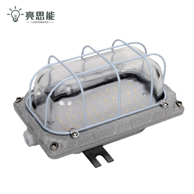 亮思能 LED吸顶式防爆灯 隔爆型 LSN-BGP 30W 个