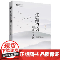 生涯咨询理论与实践 金树人 生涯发展 职业 人生规划书籍 生涯理论的底层知识逻辑框架 世界图书出版公司 97875232