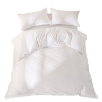 伊伊爱 云柔缎白色防螨三件套1.2米床