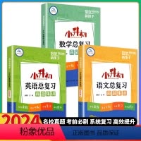 [3本 语文+数学+英语]真题集训 小学升初中 [正版]2024版小升初语文数学英语总复习真题集训培优新帮手小学生考前必