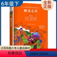[正版]聊斋志异 好书伴我成长六年级下册选读书 6年级下好书 中小学语文阅读名师导读丛书 小学语文阅读书目 南通发货