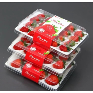 顺丰快递[熊猫鸟]彩箱装 四川正宗大凉山露天草莓 中果 单果20g左右 净重2.4斤 (300g*4) 新鲜水果