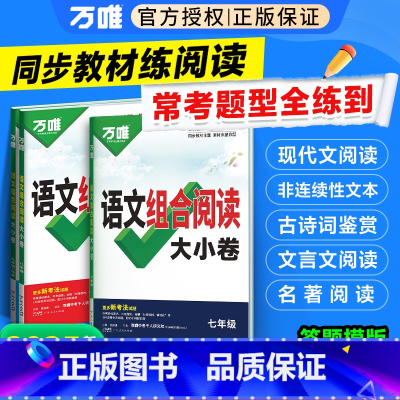 [语文+英语]组合阅读大小卷 九年级 [正版]2025万唯初中语文组合阅读大小卷初一初二初三789年级阅读理解专项组合训