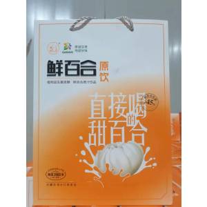 甘肃特产百合益π植物益生菌发酵鲜百合原汁饮品170ml*14