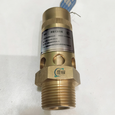 鏖耀 弹簧式安全阀 DN25/0.8MPa 个