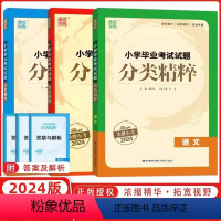 语数英[全套3册] 小学升初中 [正版]2024通城学典小学毕业考试试卷精编小升初系统总复习卷子语文数学英语真题模拟试卷